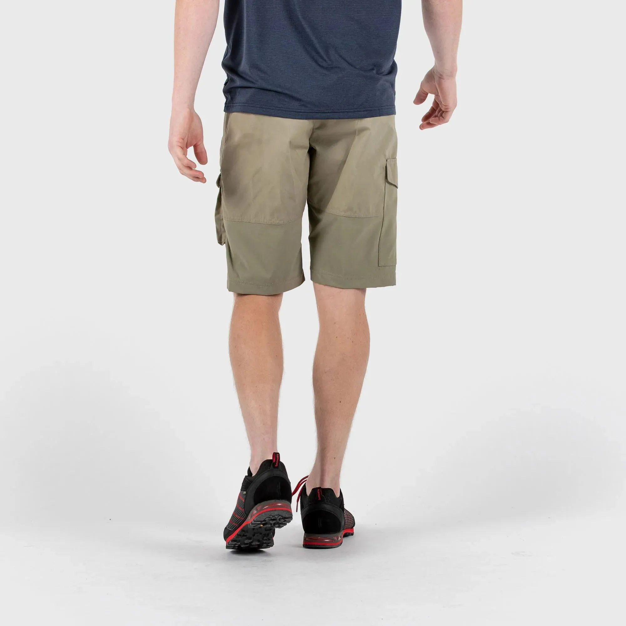 Abisko Shorts (Men's) - F82833